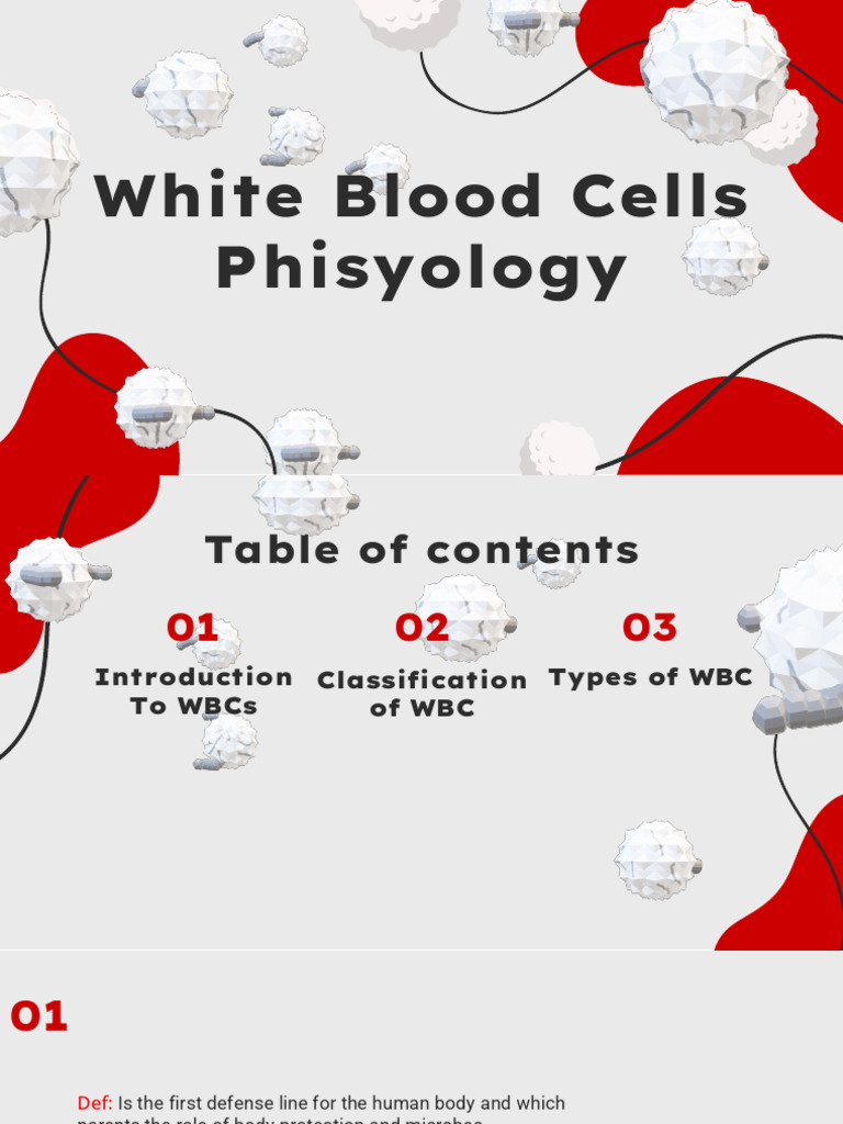 Types and Functions of White Blood Cells | PDF | White Blood Cell ...