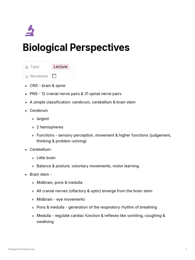 Overview of Brain Structure and Functions | PDF | Cerebrum | Brainstem