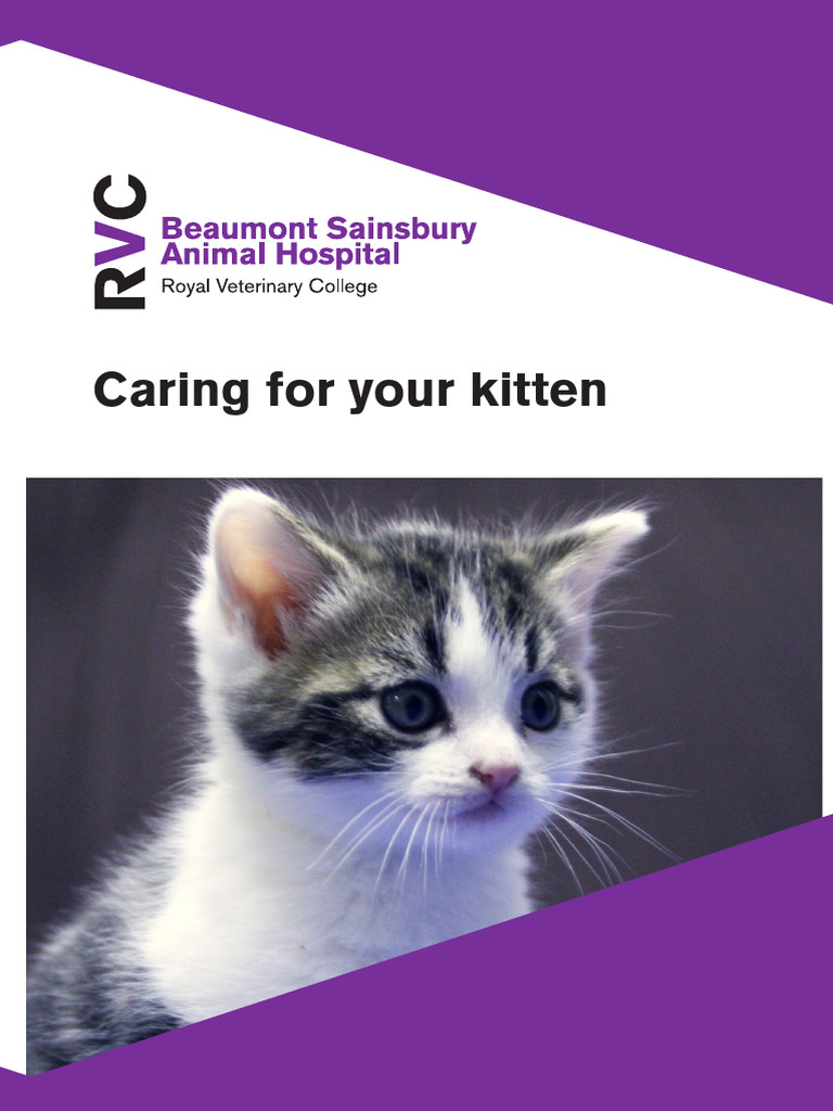 Caring-For-Your-Kitten 2018 Web Version | PDF | Neutering | Animals And ...
