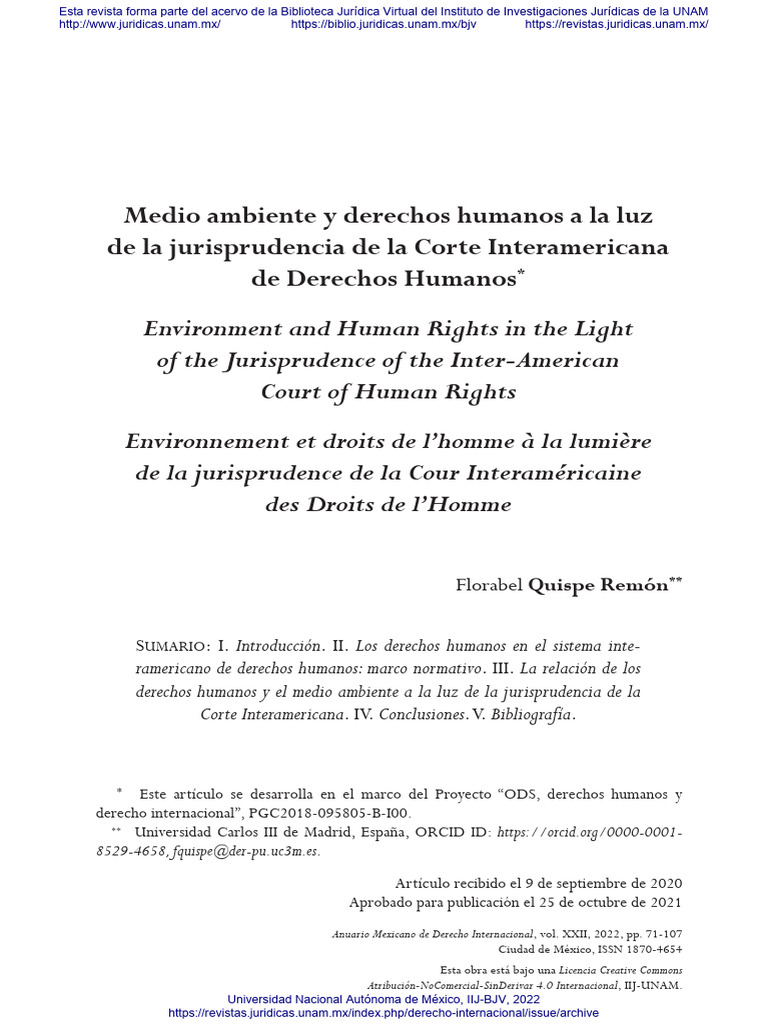 Derechos Humanos y Medio Ambiente en la CIDH | PDF | Derechos humanos ...