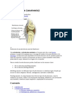 Articulación