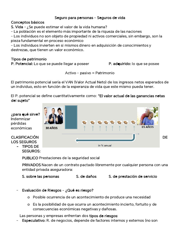 Tipos de Seguros de Vida y Riesgos | PDF | Seguro | Reaseguro