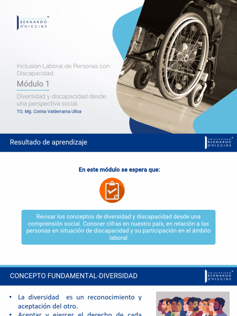 Diversidad y Discapacidad: Inclusión Laboral | PDF | Invalidez ...