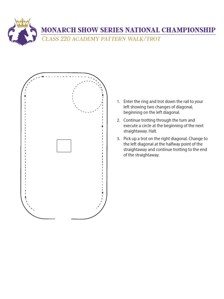220 Acad Pattern WT | PDF