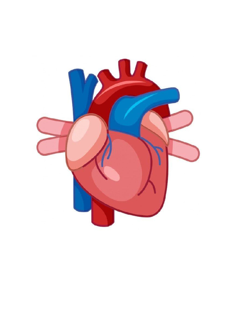 Corazón para Colorear | PDF
