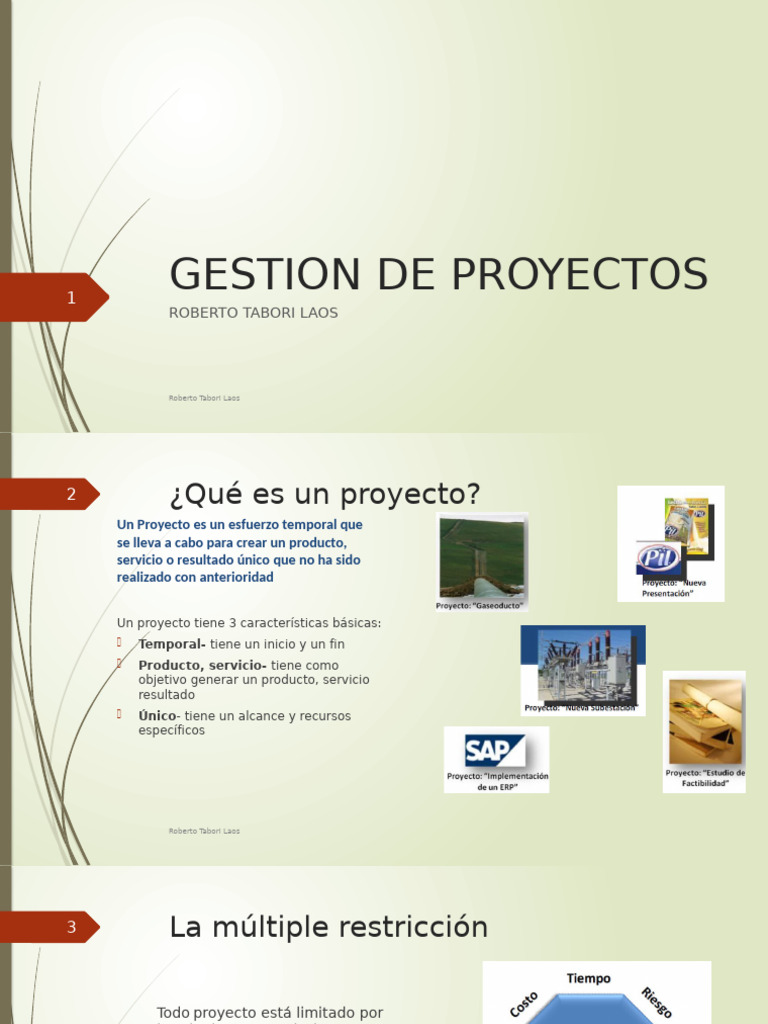 Gestion de Proyectos | PDF | Gestión de proyectos | Business