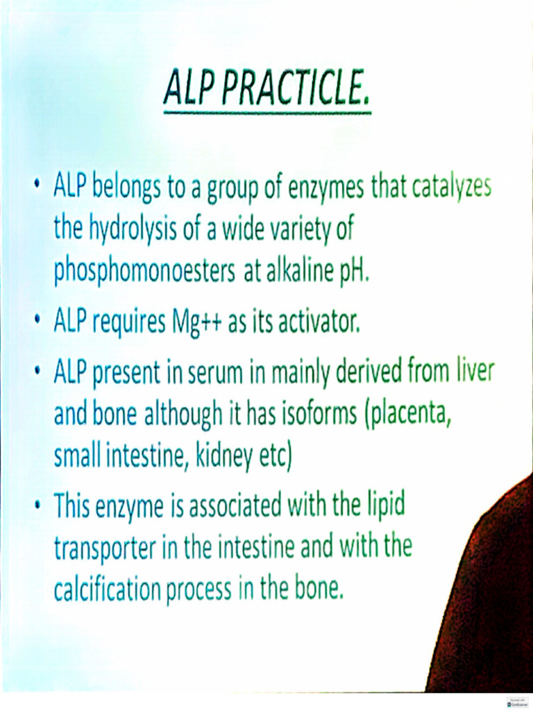 Alp | PDF
