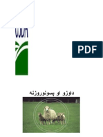 داوزو_او_پسونوروزنه