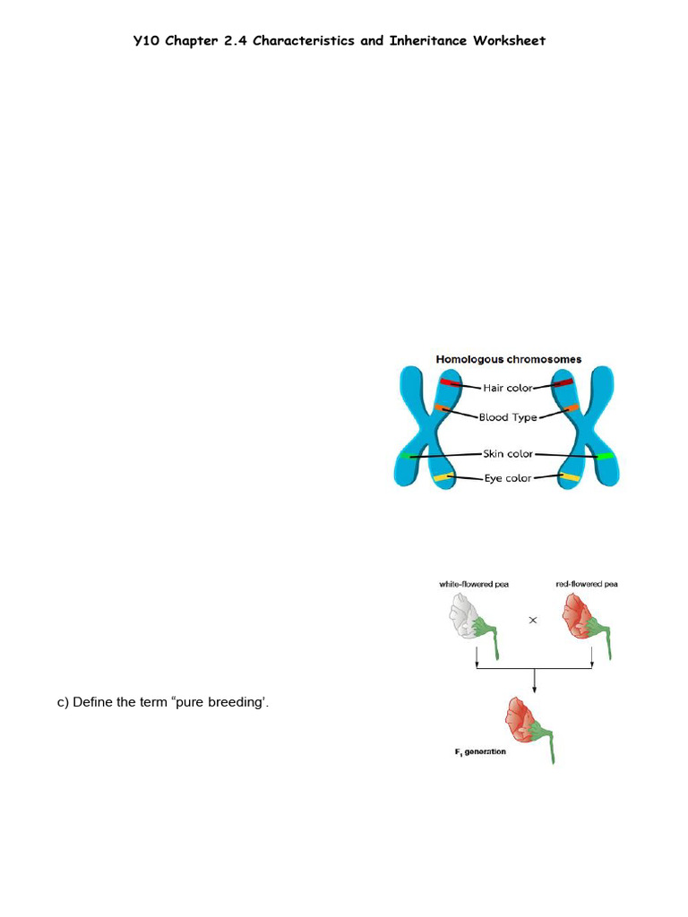 Inheritance and Genetics Worksheet | PDF | Dominance (Genetics) | Zygosity