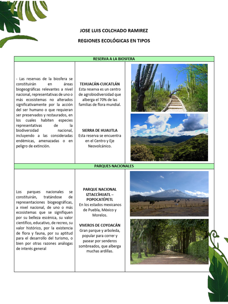 Tipos de Áreas Naturales Protegidas en México | PDF | México | Fauna
