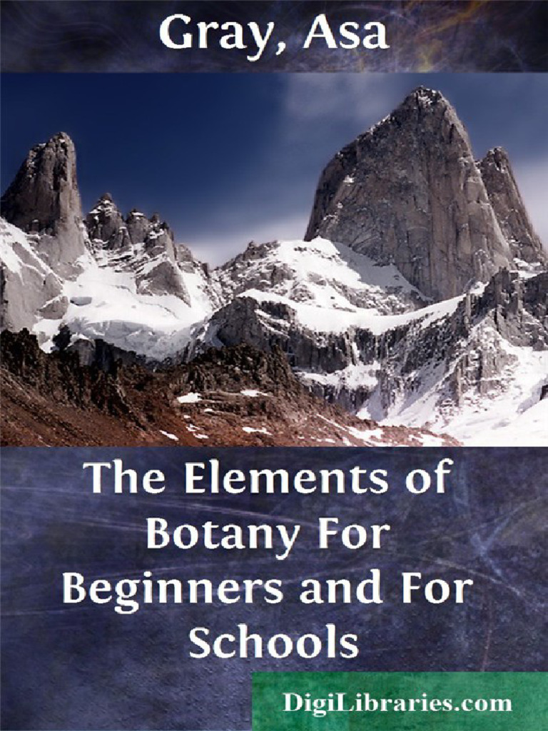 Understanding Structural Botany Basics | PDF | Seedling | Seed