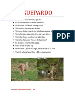 GUEPARDO