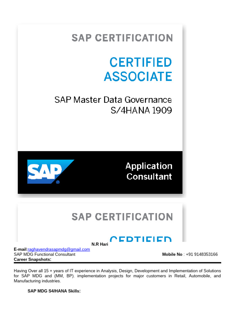 NR Hari SAP MDG 23RFAPRIL25 | PDF | Specification (Technical Standard ...
