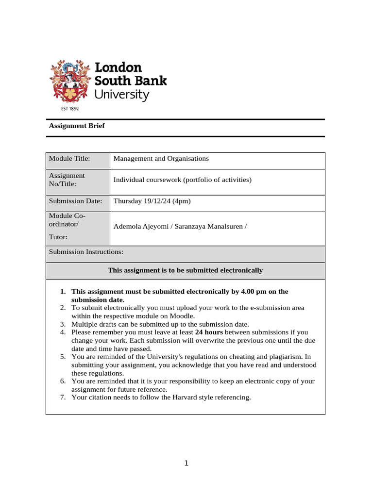 Shabab Ahmed Final Assignment 2024 30 Nov | PDF | Motivation | Motivational