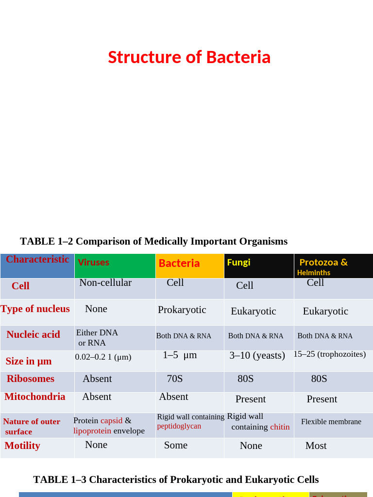 Structure of Bacteria (By DR Sarfaraz) | PDF | Bacteria | Cell (Biology)