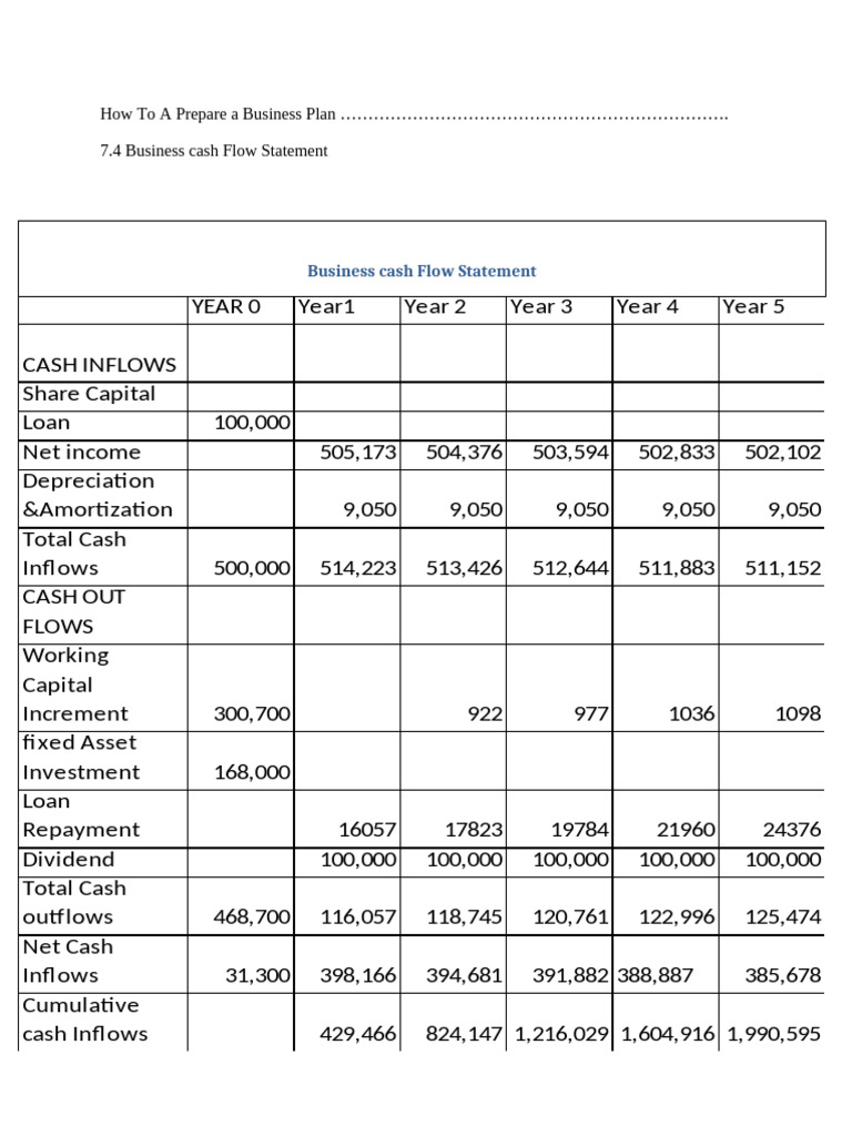 Business Plan Cash Flow Analysis | PDF | Cash Flow Statement | Balance ...