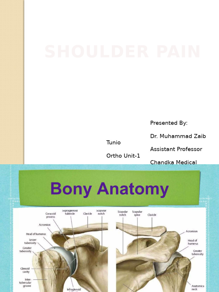 Dr. Rumy Petkov on Shoulder Pain | PDF