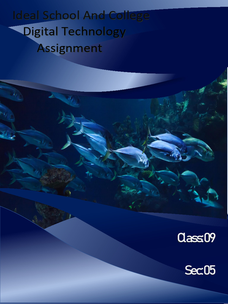 D T Assignment | PDF