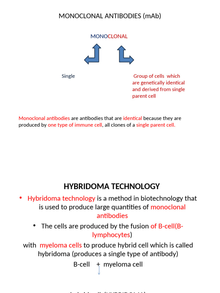 Hybridoma Technology for Monoclonal Antibodies | PDF | Monoclonal ...