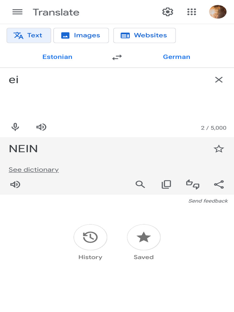 Google Translate | PDF