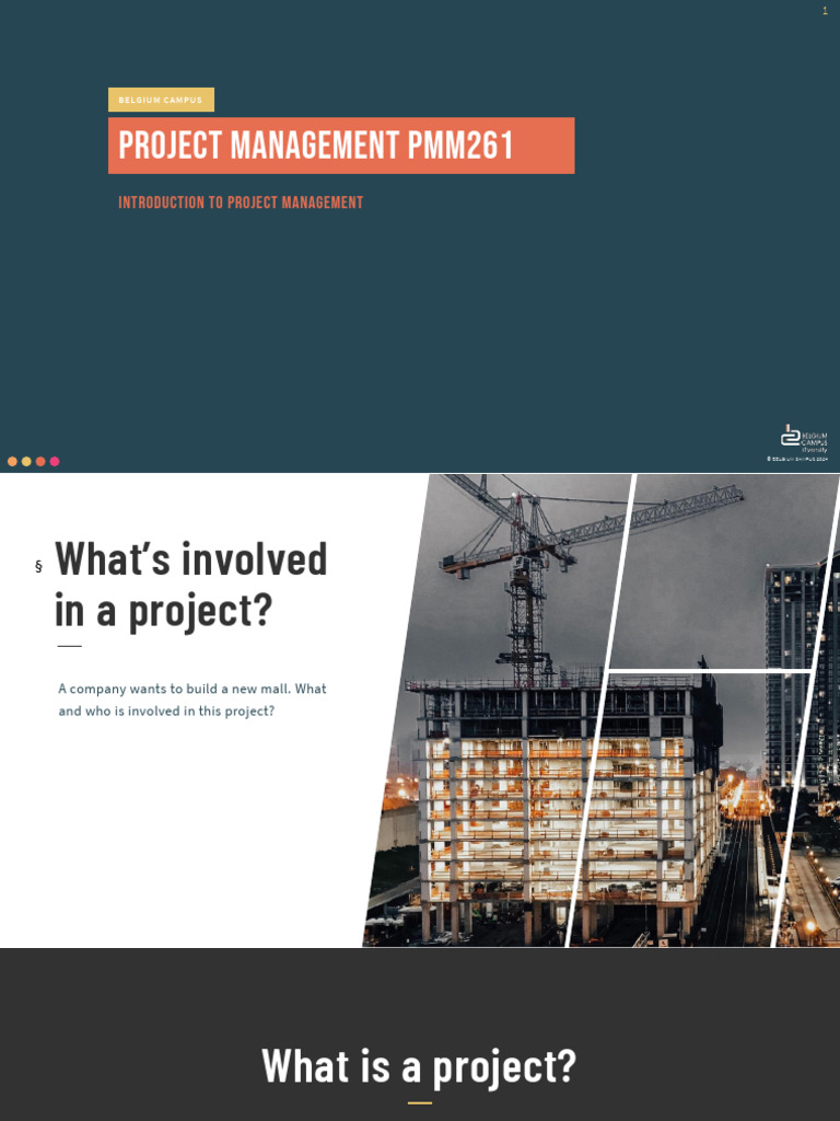 PMM261-2025 - 1 - Introduction To Project Management | PDF | Risk ...