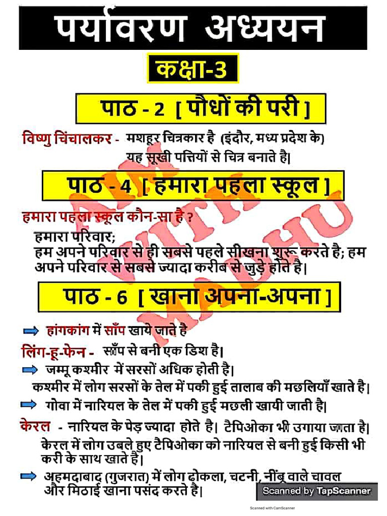 Ctet Evs Ncert Complete Notes | PDF