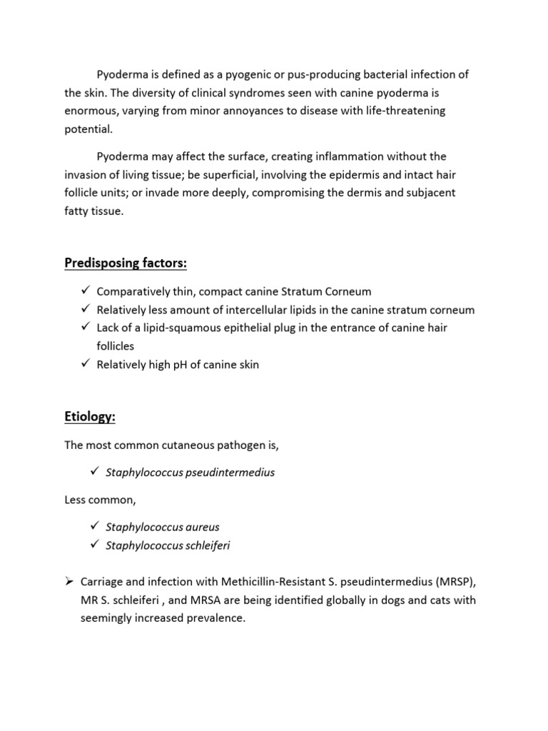 Pyoderma Case Review-1 - 1 | PDF | Staphylococcus | Skin