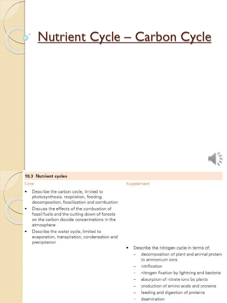Understanding the Carbon Cycle | PDF | Carbon Cycle | Carbon Dioxide