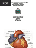 Cardiopatías congénitas 09
