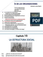 10 Estructura Social
