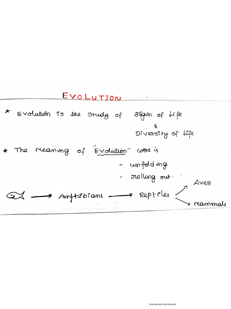1 Evolution | PDF