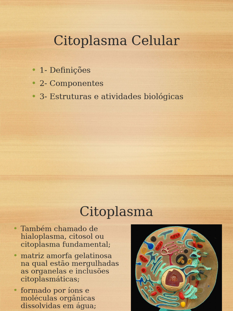 Componentes e Funções do Citoplasma | PDF | Citoplasma | Célula (Biologia)