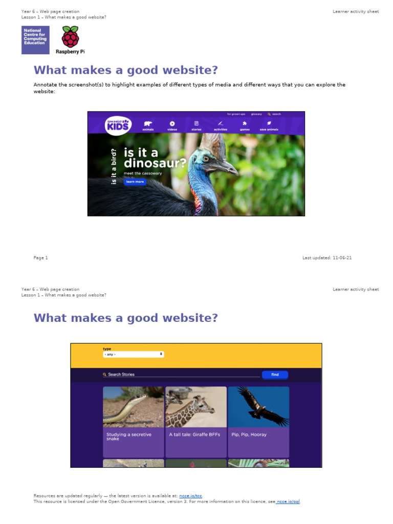 Year 6 Website Design Worksheet | PDF