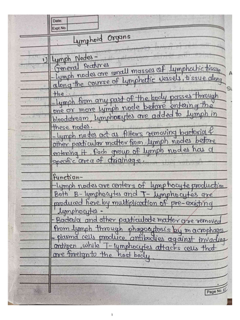 Lymphoid Organs Pdf