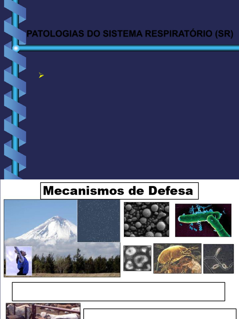 2 Mecanismos de Defesa 2019 | PDF | Pulmão | Necrose