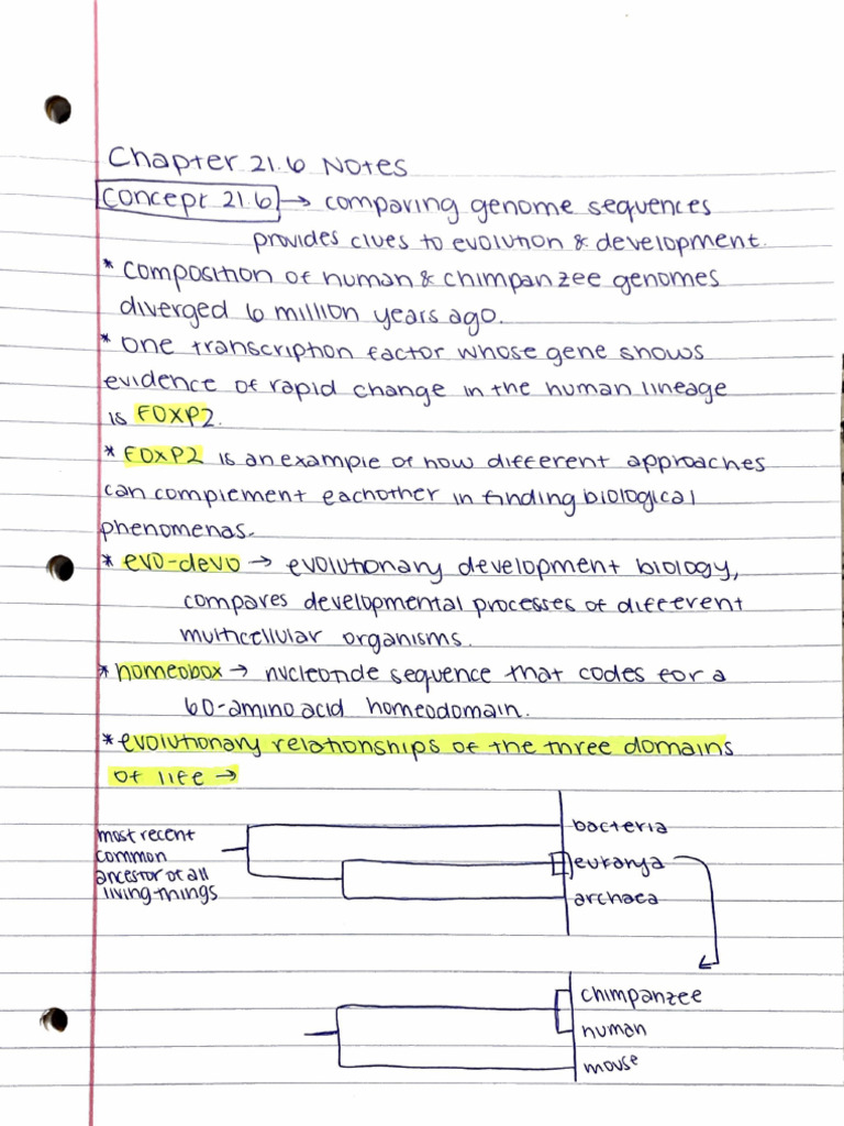Chapter 21.6 Notes | PDF