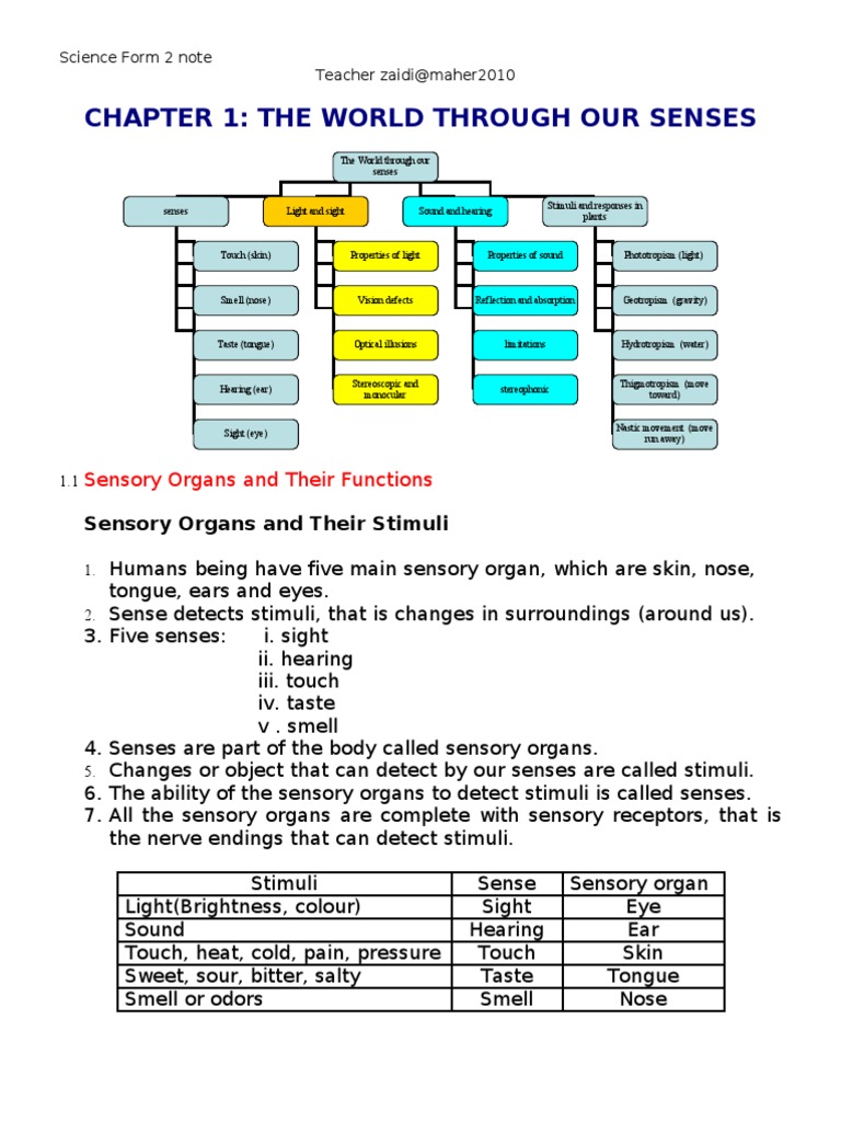 Understanding Human Sensory Organs | PDF | Senses | Ear