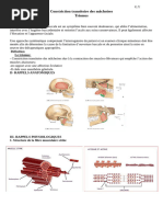 Signes de Souques en Paralysie Faciale | PDF