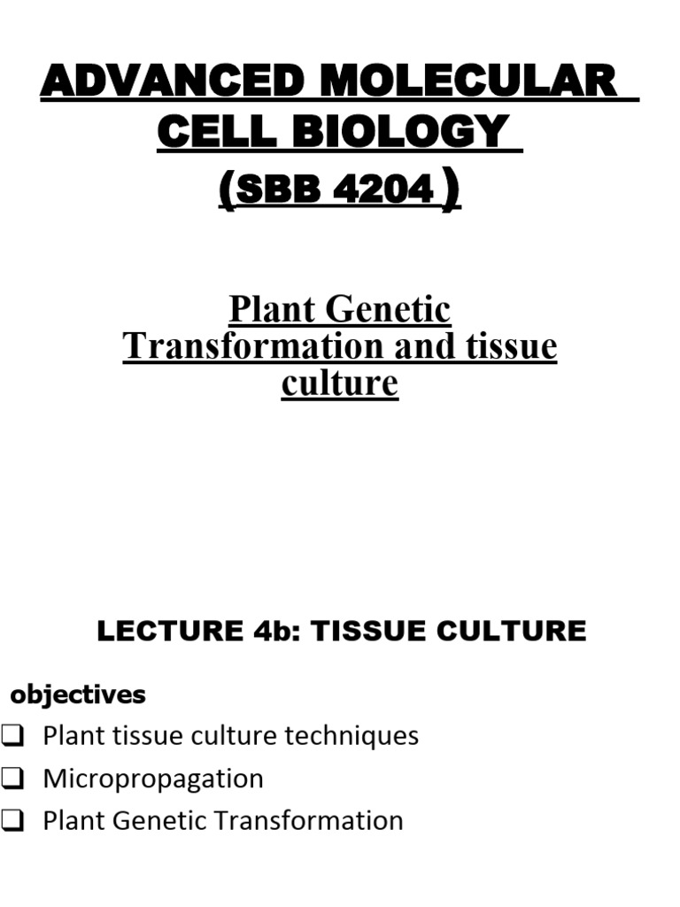 Plant Tissue Culture Techniques Explained | PDF | Plants | Life Sciences