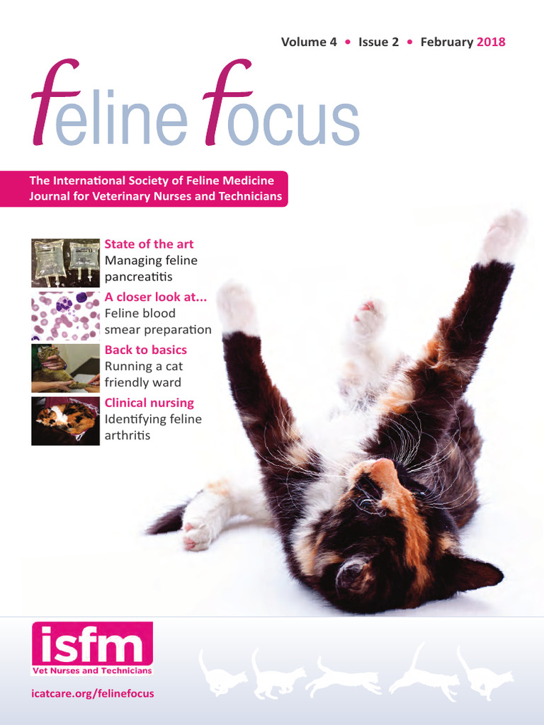 Managing Feline Pancreatitis | PDF | Intravenous Therapy | Potassium