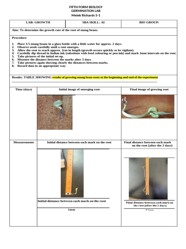GROWTH SBA WORKCARD Melek Richards | PDF | Root | Germination