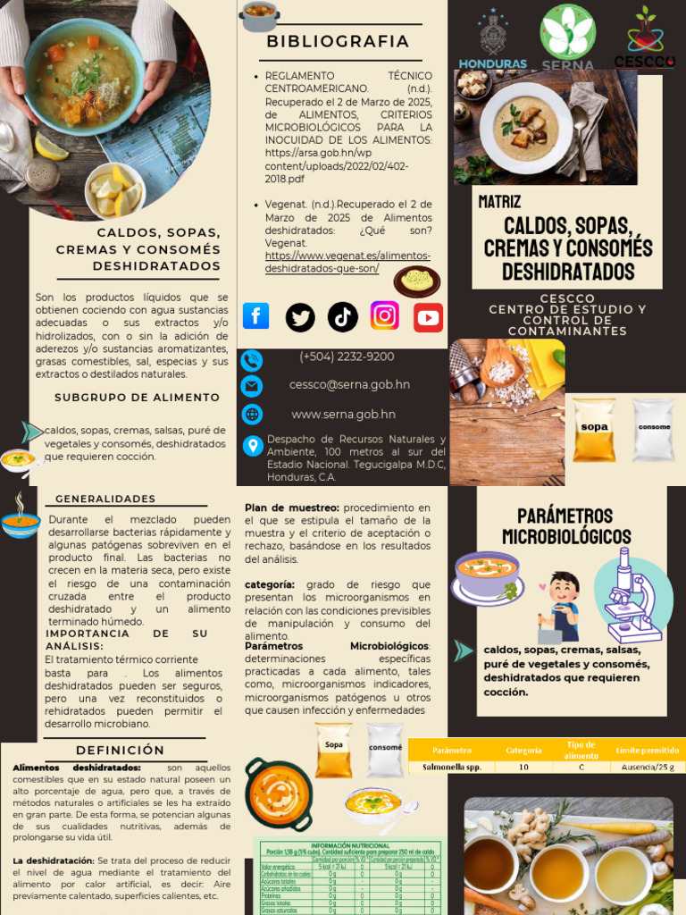 Caldos, Sopas, Cremas y Consomés Deshidratados | PDF | Alimentos | Caldo