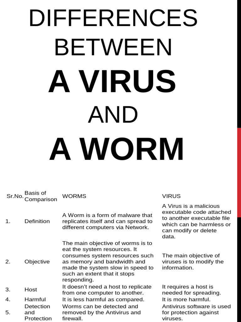 Virus and Worms Revision | PDF | Computer Virus | Random Access Memory
