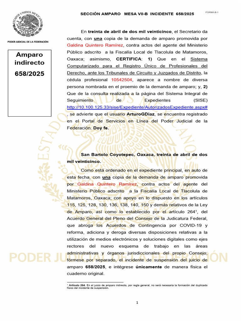 Amparo Indirecto 658/2025 en Oaxaca | PDF | Caso de ley | Mandato