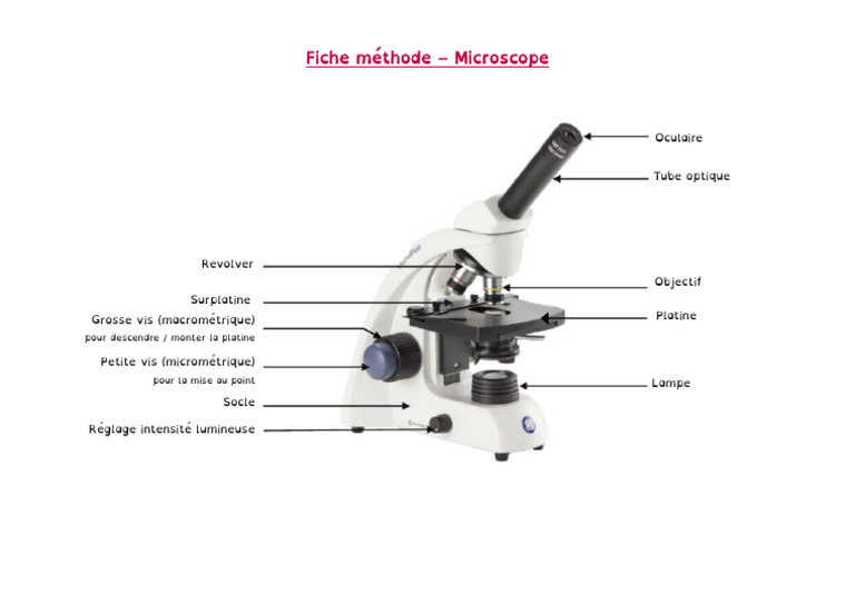 Guide d'utilisation du microscope | PDF
