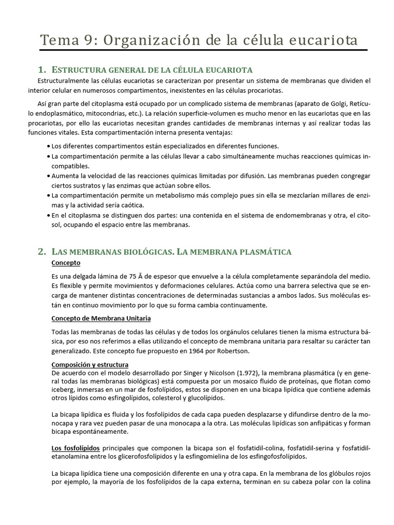 Estructura y funciones de la célula eucariota | PDF | Citoplasma ...