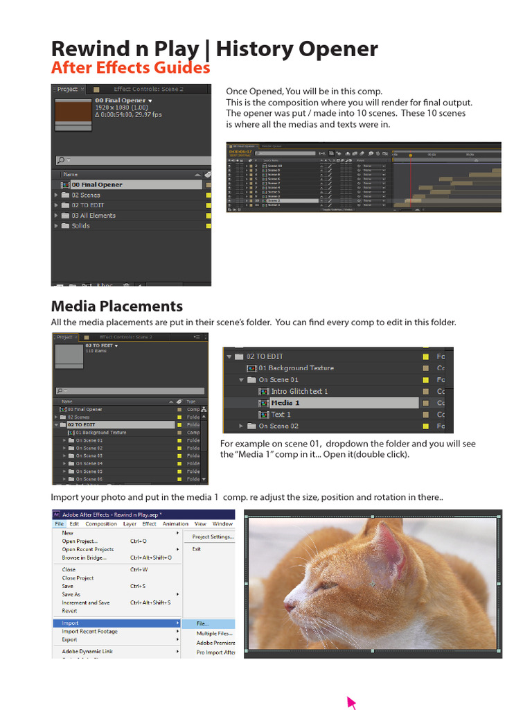 Guides | PDF