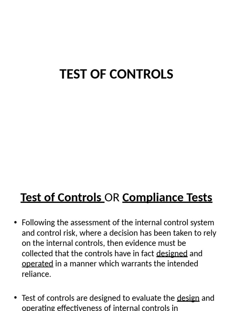 Test of Controls Overview and Examples | PDF