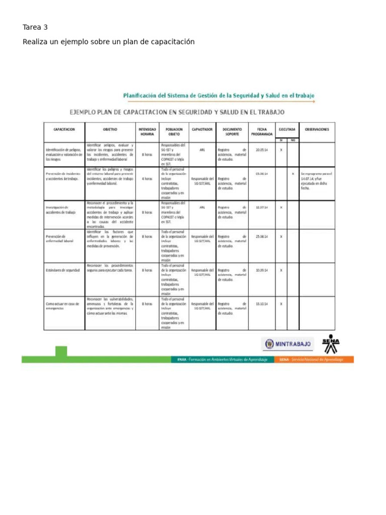 Tarea 3 Ejemplo Sobre Un Plan de Capacitacion | PDF