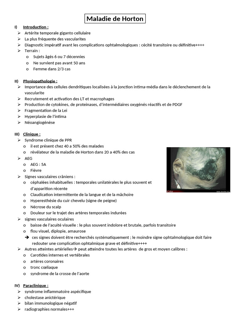 2Maladie de Horton Et Psudo P Rizom PDF Spécialités médicales — free download
